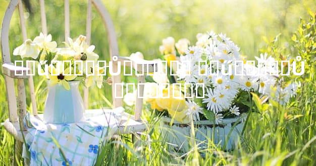 �ֽű�����Ů������ �ֽű�����Ů��������